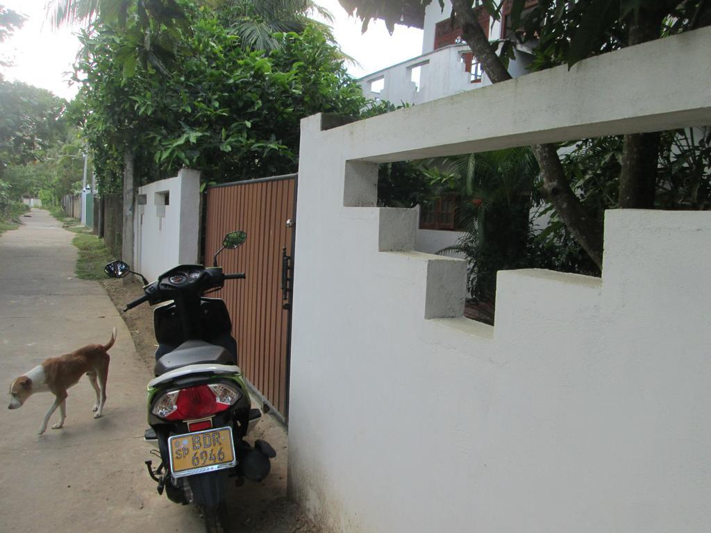 Bay Reach Home Stay Weligama Exterior photo