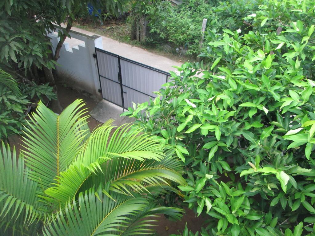 Bay Reach Home Stay Weligama Exterior photo